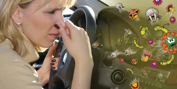 Воздух в новом автомобиле может содержать повышенное количество вредных веществ