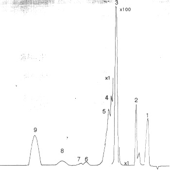 Хроматограмма товарного метил-трет-бутилового эфира на колонке с ТВИН-60
