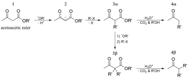 Acetoacetic ester synthesis.png